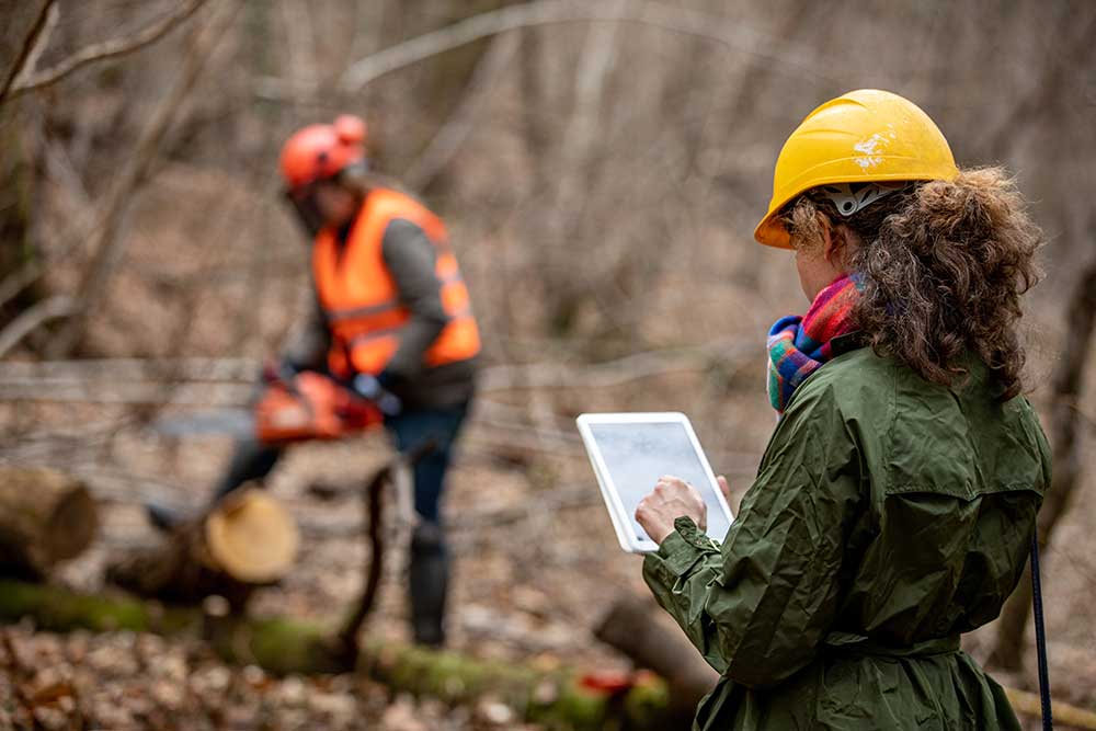a woman in a forest supervising a sustainability project